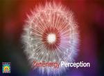 ze25-perception-title-slide-1230x900-zenenergy